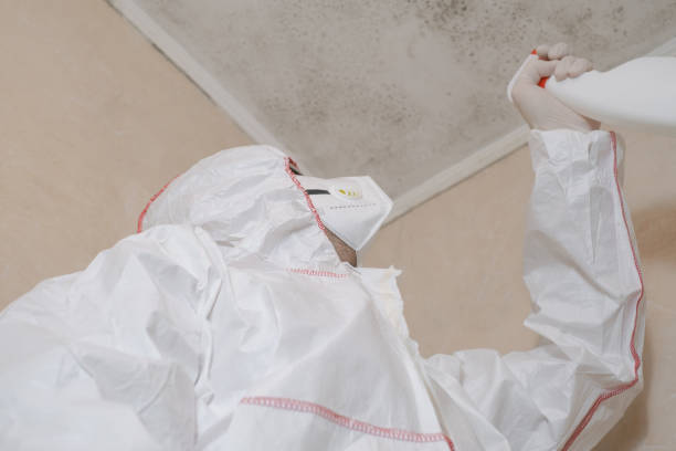 Best Certified Mold Removal  in Mmerce City, CO